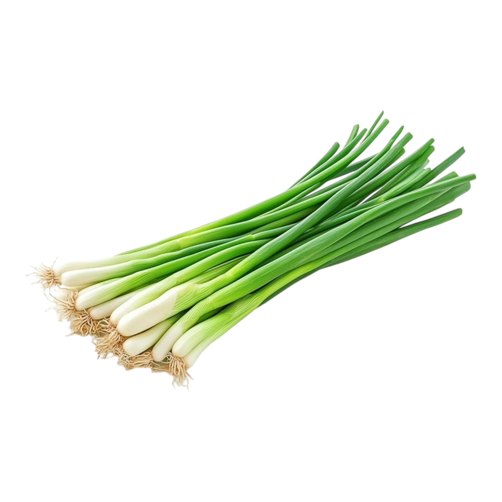 Spring Onion/ Green Onion Bunch